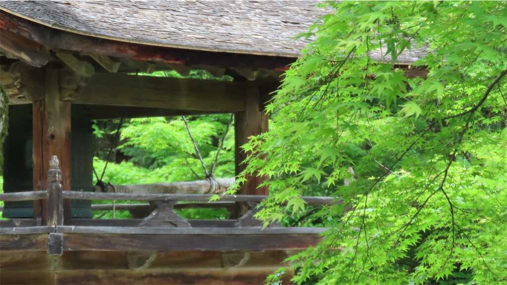 f:id:m3785com:20260508175217j:image