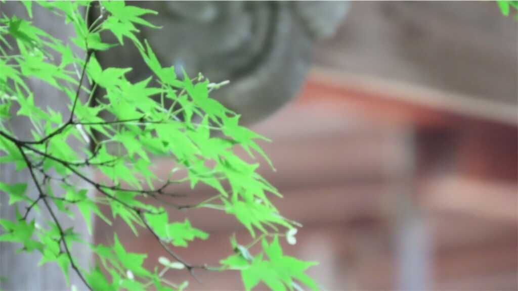 f:id:m3785com:20260508175442j:image