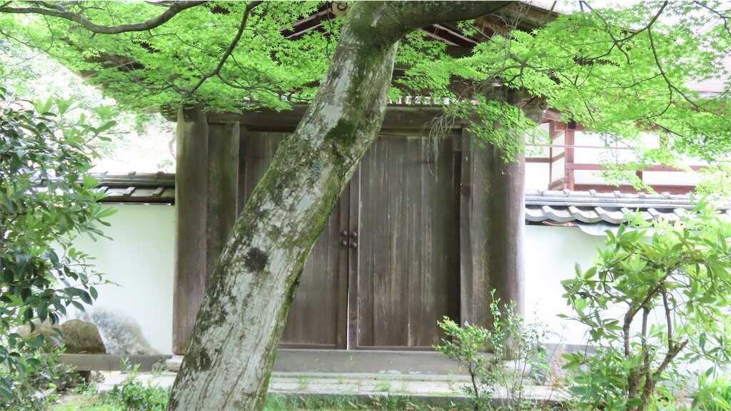 f:id:m3785com:20260508175504j:image