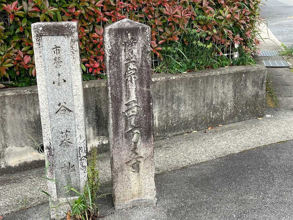 f:id:m3785com:20260514081135j:image