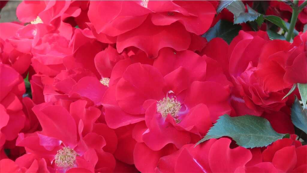 f:id:m3785com:20260518182520j:image
