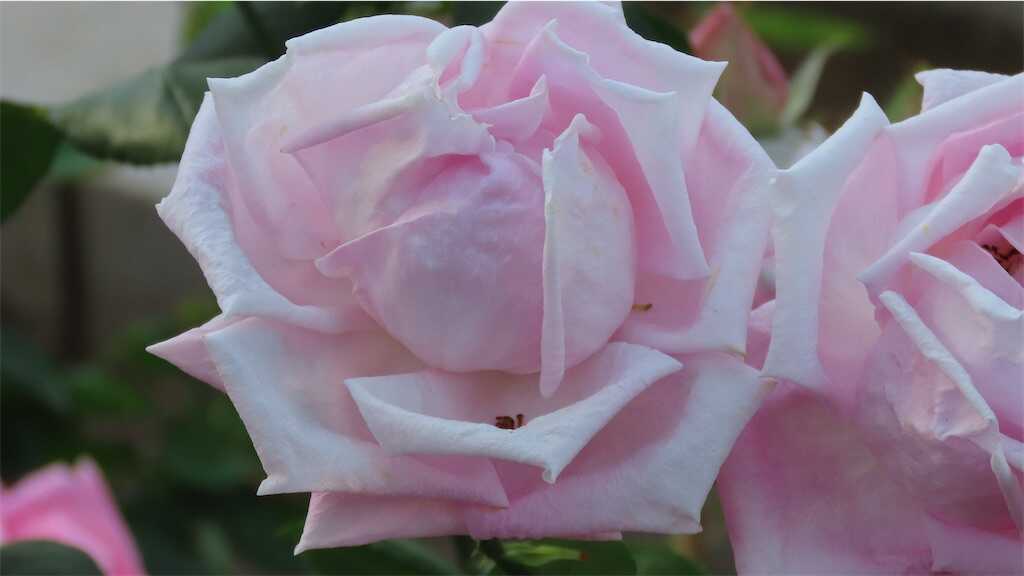f:id:m3785com:20260518182527j:image
