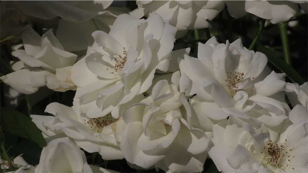 f:id:m3785com:20260518182533j:image