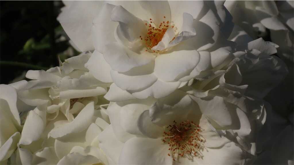 f:id:m3785com:20260518182536j:image
