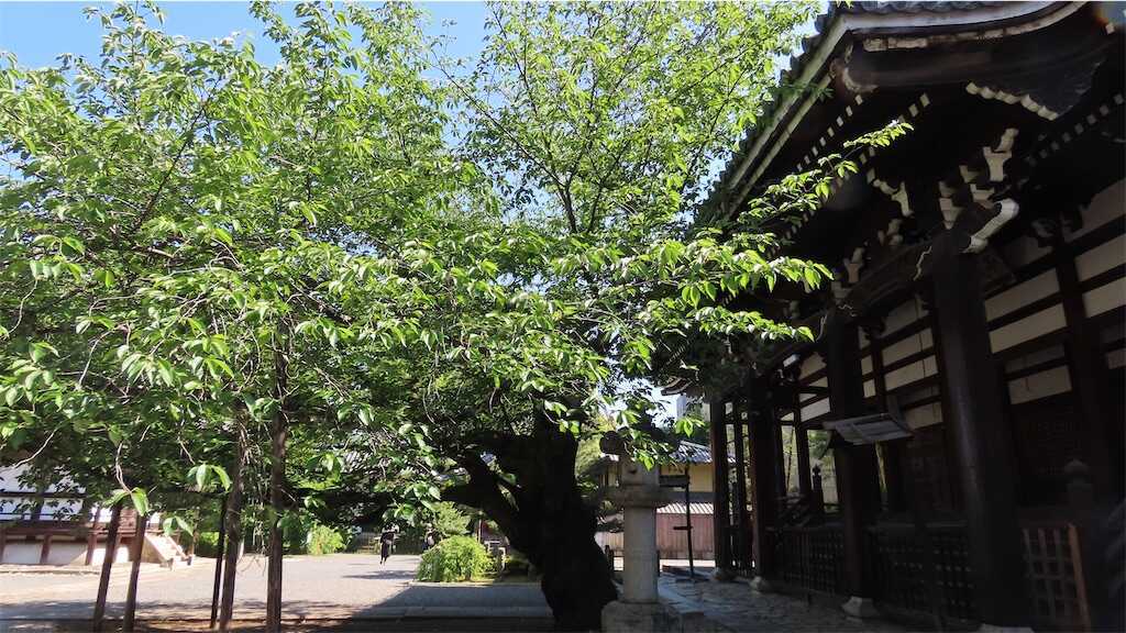 f:id:m3785com:20260530113547j:image