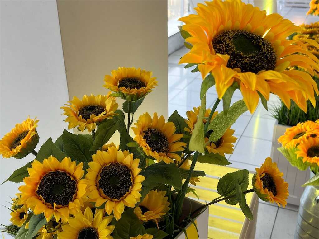 f:id:m3785com:20260811122126j:image f:id:m3785com:20260811122126j:image
