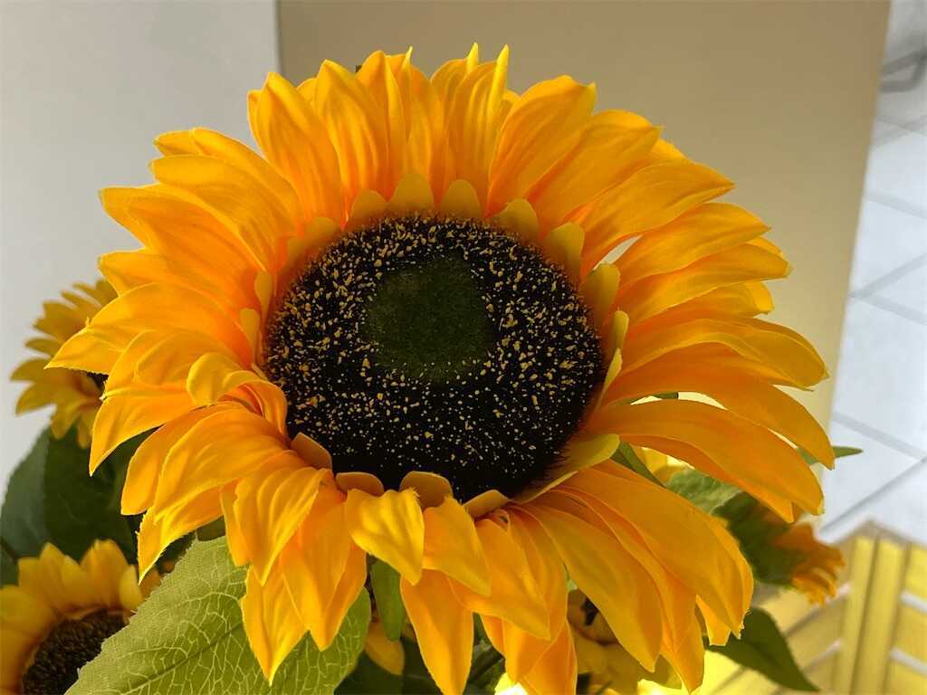f:id:m3785com:20260811122237j:image f:id:m3785com:20260811122237j:image