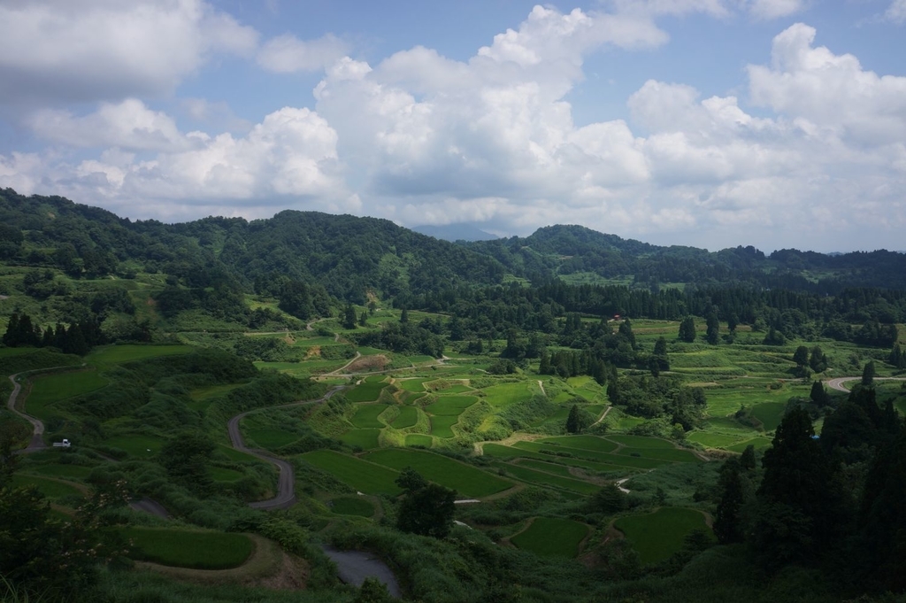 f:id:m385030:20190119180948j:plain