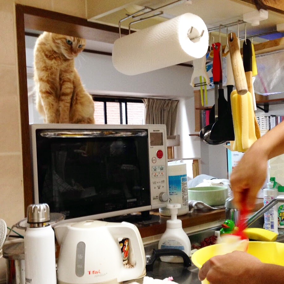 f:id:m3note:20160619211723j:plain