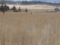 20120325115428