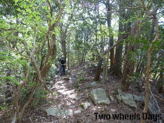 f:id:m420625117271:20210412092259j:plain