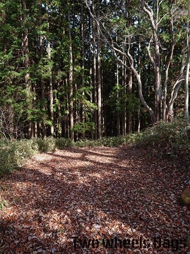 f:id:m420625117271:20211029174155j:plain