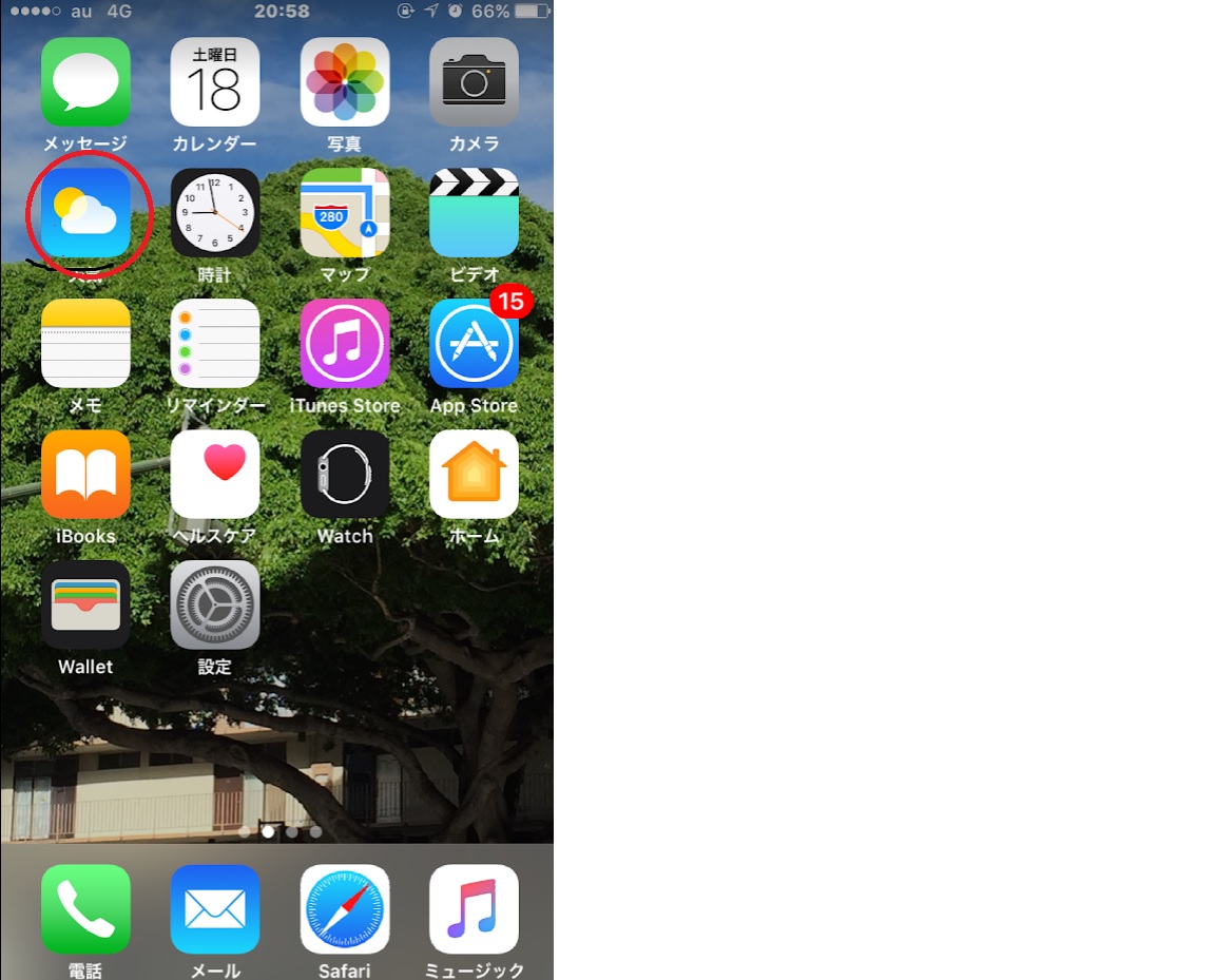 f:id:m421miyako:20190524180506j:plain