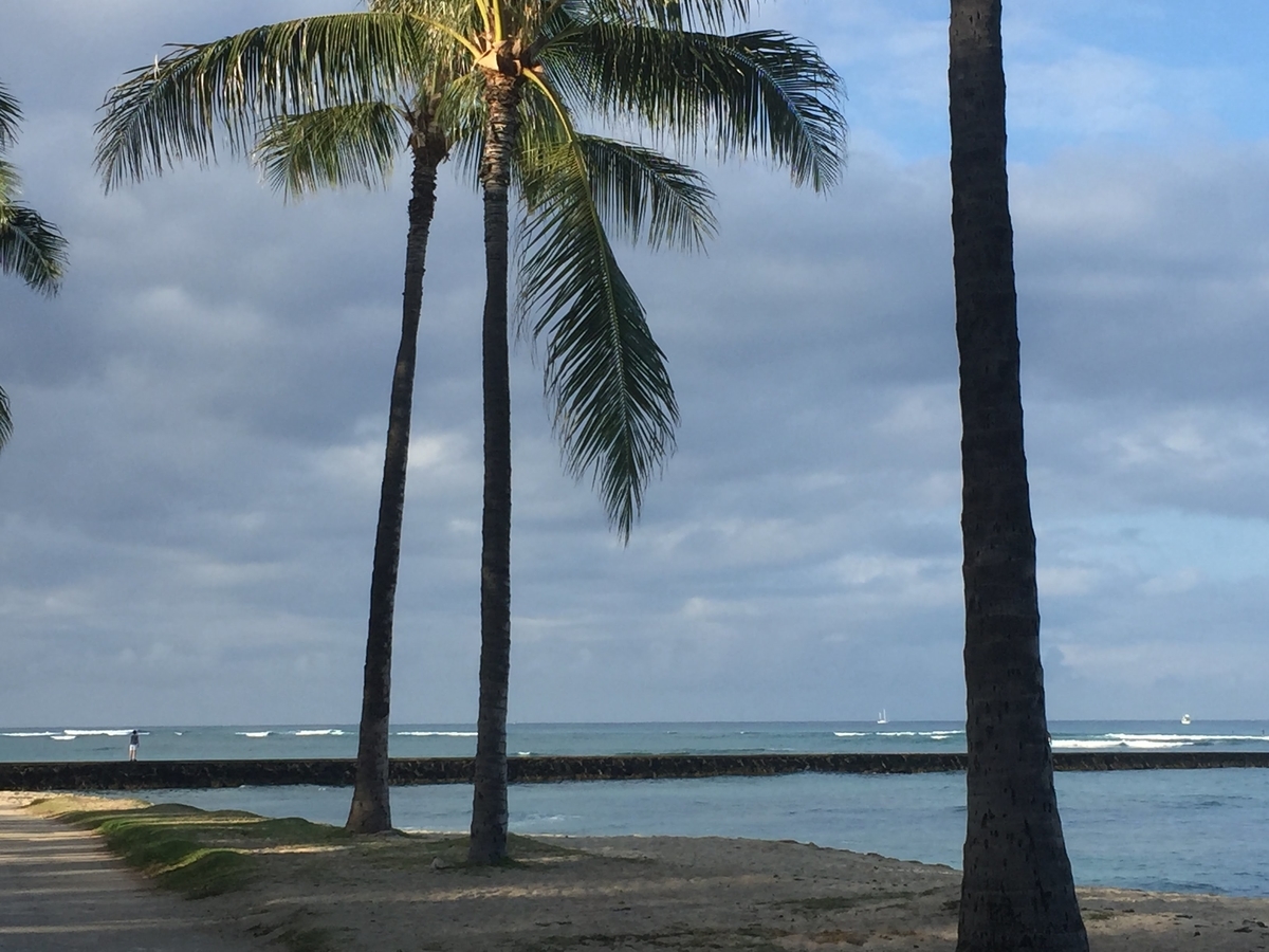 f:id:m421miyako:20200425220647j:plain