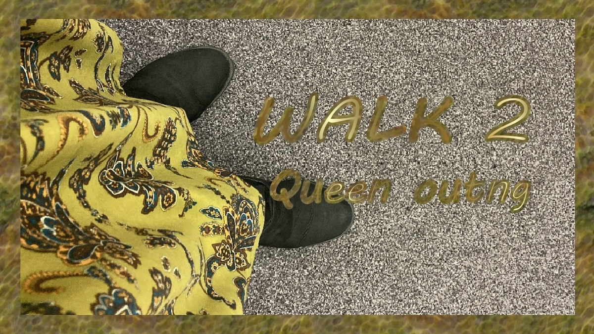 f:id:m421miyako:20201125203720j:plain