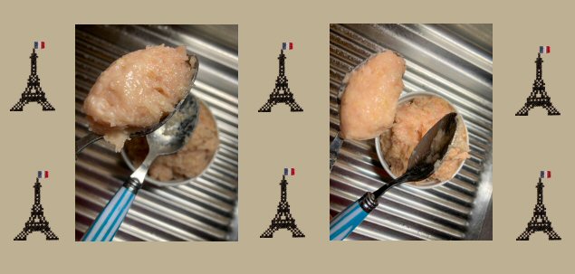f:id:m421miyako:20210404154029j:plain