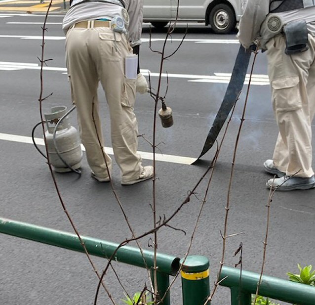 f:id:m421miyako:20210911130730j:plain