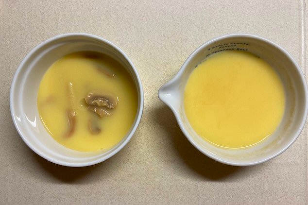 f:id:m421miyako:20210916184308j:plain