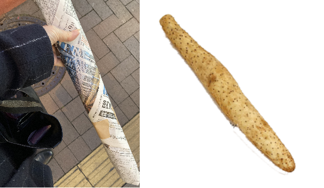 f:id:m421miyako:20220122161848p:plain