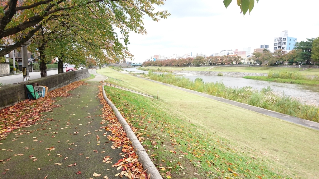 f:id:m6895dm829b:20181030205259j:plain