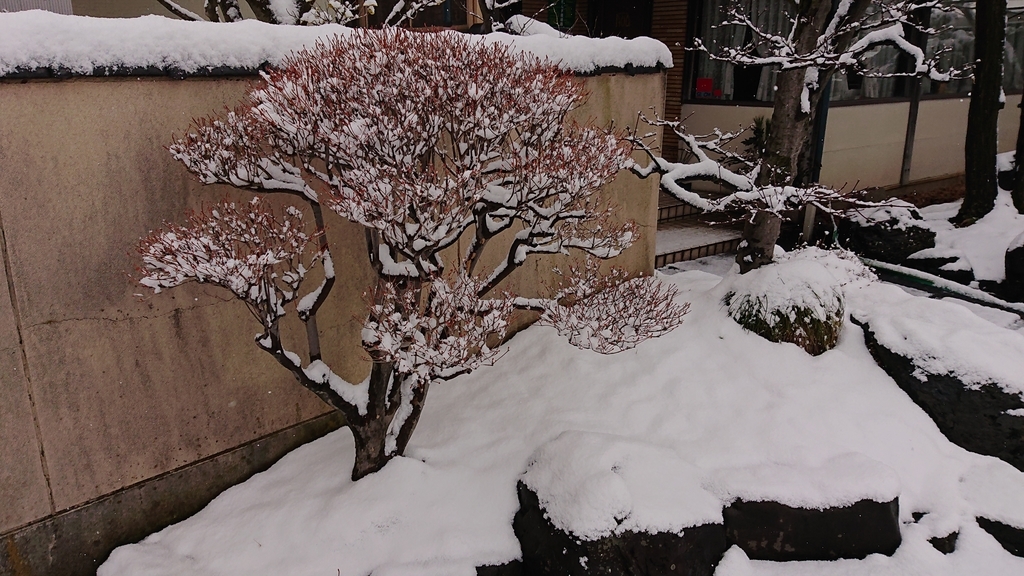 f:id:m6895dm829b:20190201225558j:plain f:id:m6895dm829b:20190201225558j:plain