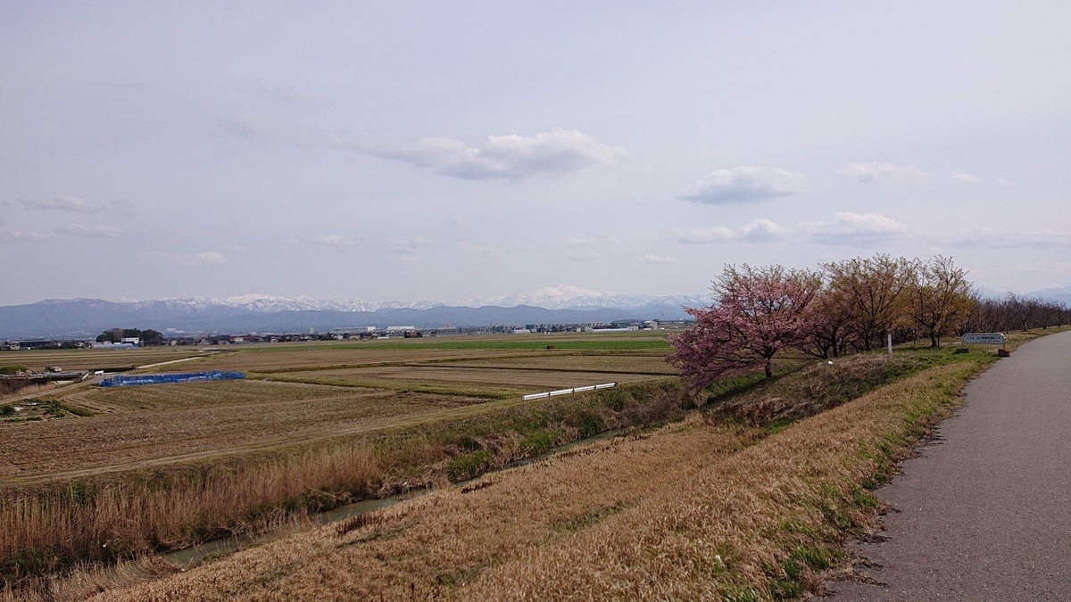 f:id:m6895dm829b:20190325210953j:plain f:id:m6895dm829b:20190325210953j:plain
