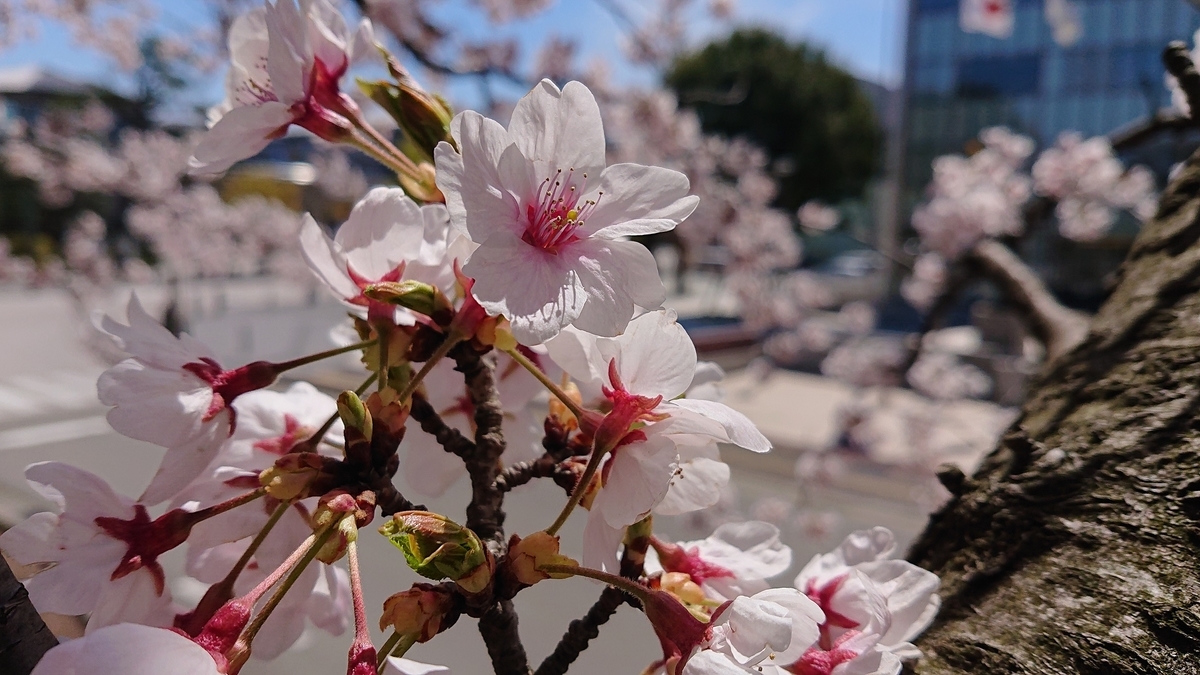 f:id:m6895dm829b:20190415223953j:plain