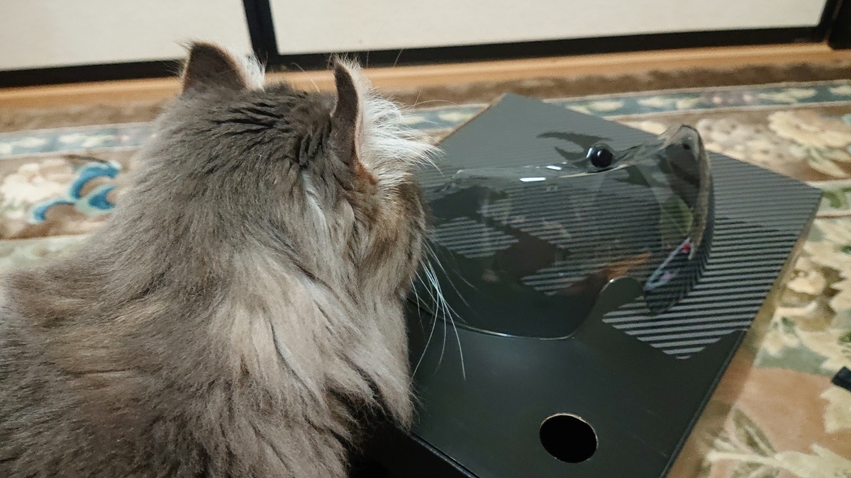 f:id:m6895dm829b:20190513222227j:plain