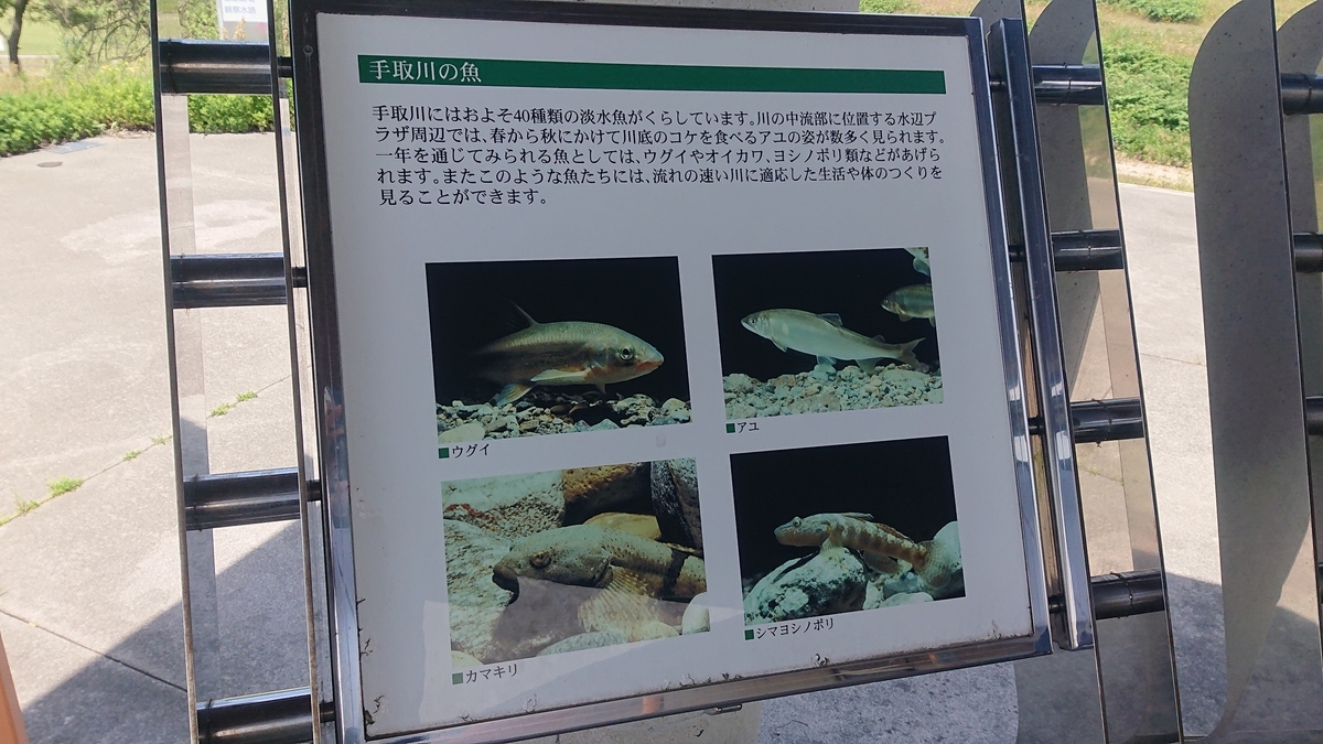 f:id:m6895dm829b:20190524001204j:plain f:id:m6895dm829b:20190524001204j:plain