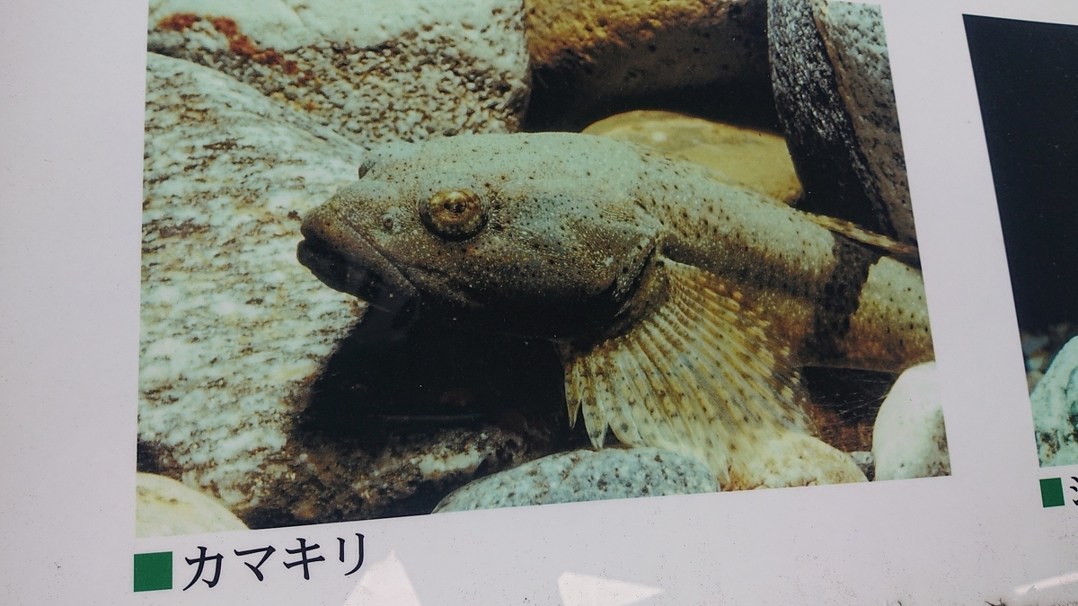 f:id:m6895dm829b:20190524001410j:plain f:id:m6895dm829b:20190524001410j:plain