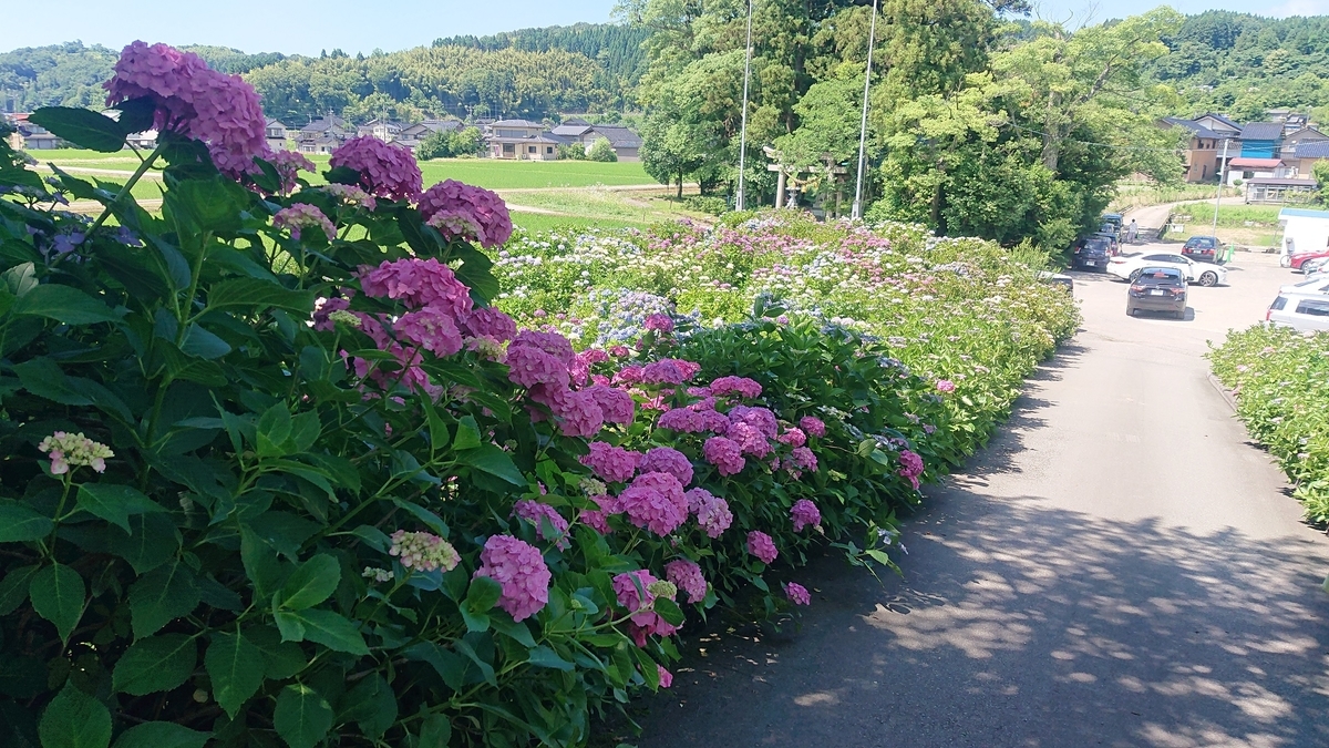 f:id:m6895dm829b:20190625213304j:plain f:id:m6895dm829b:20190625213304j:plain