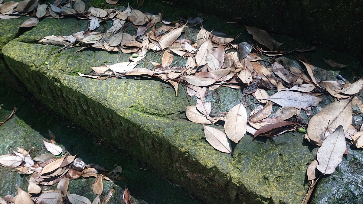 f:id:m6895dm829b:20190723213151j:plain f:id:m6895dm829b:20190723213151j:plain