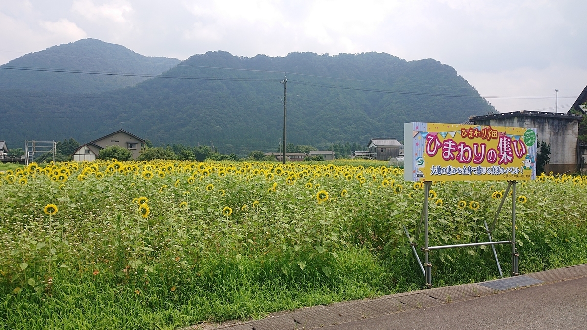 f:id:m6895dm829b:20190730215044j:plain f:id:m6895dm829b:20190730215044j:plain