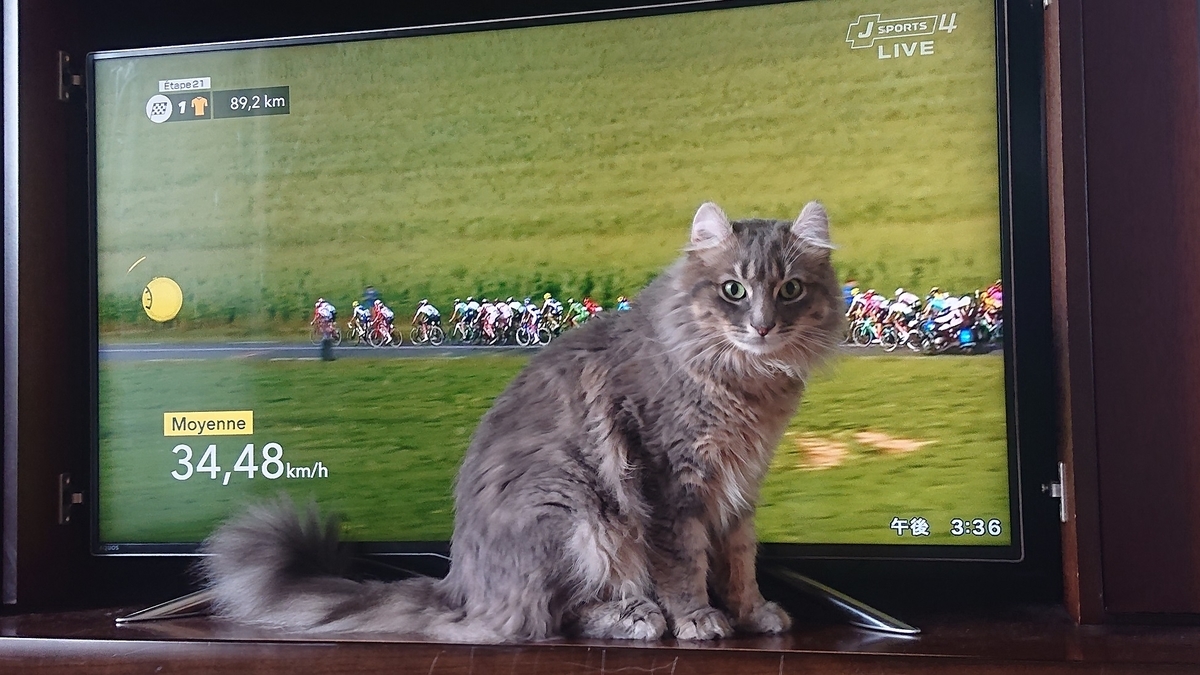 f:id:m6895dm829b:20190730221205j:plain