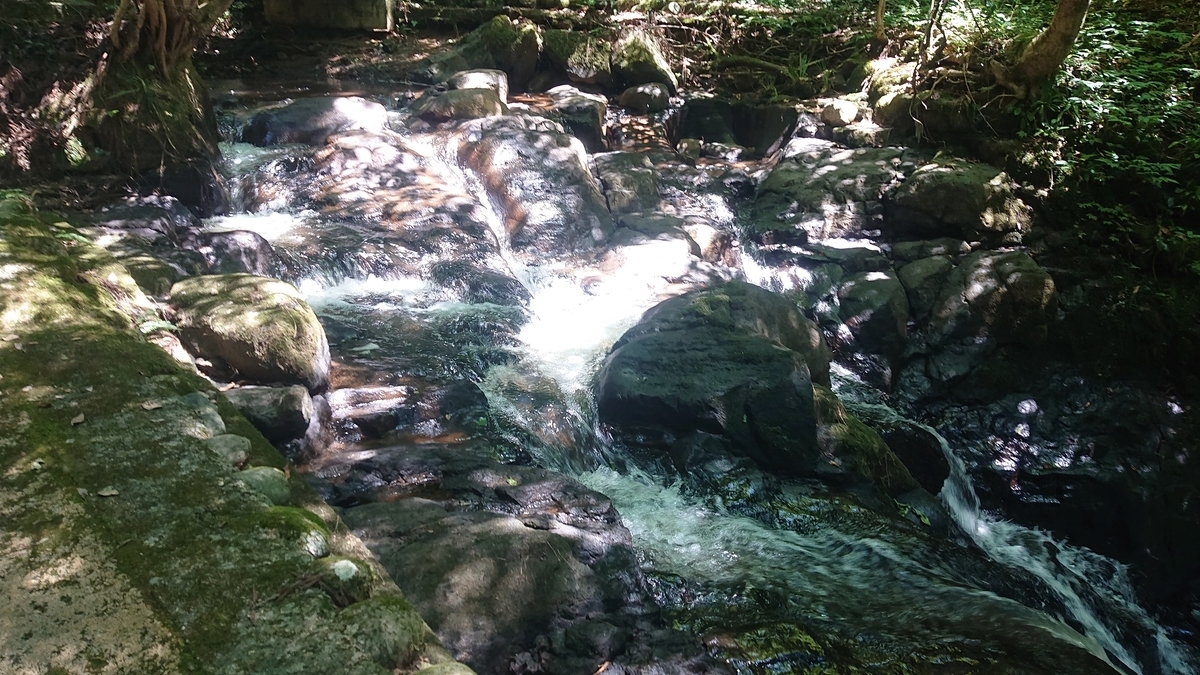 f:id:m6895dm829b:20190809213204j:plain f:id:m6895dm829b:20190809213204j:plain