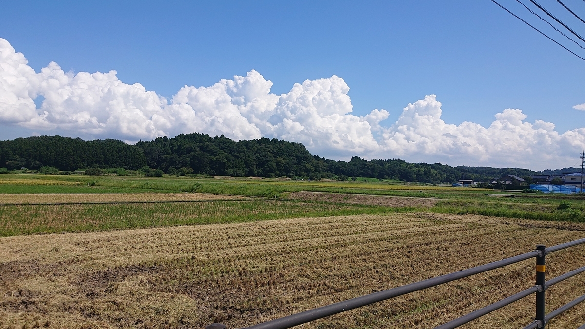 f:id:m6895dm829b:20190910212404j:plain