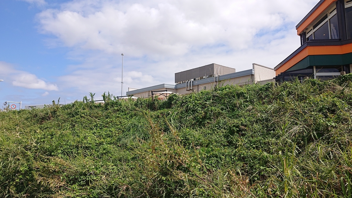 f:id:m6895dm829b:20190917211659j:plain