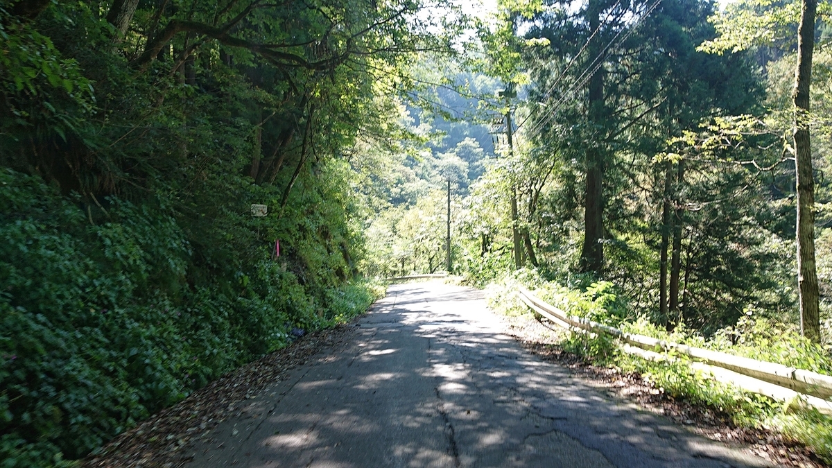 f:id:m6895dm829b:20191001201218j:plain f:id:m6895dm829b:20191001201218j:plain