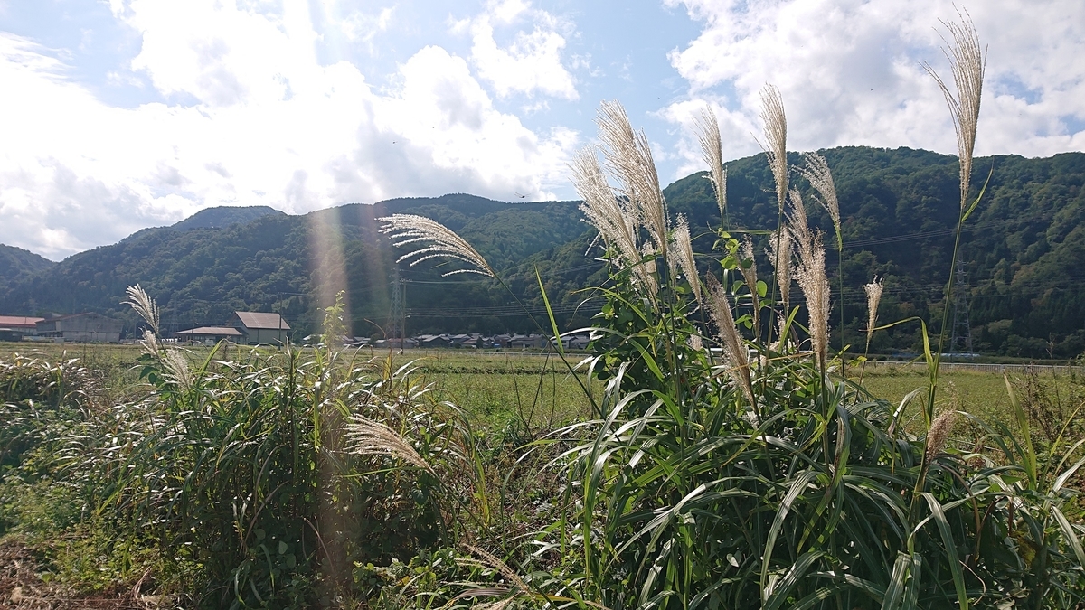 f:id:m6895dm829b:20191009233449j:plain