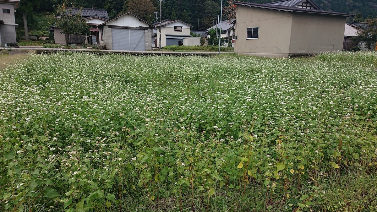 f:id:m6895dm829b:20191009235952j:plain
