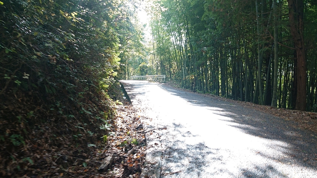 f:id:m6895dm829b:20191112221737j:plain f:id:m6895dm829b:20191112221737j:plain