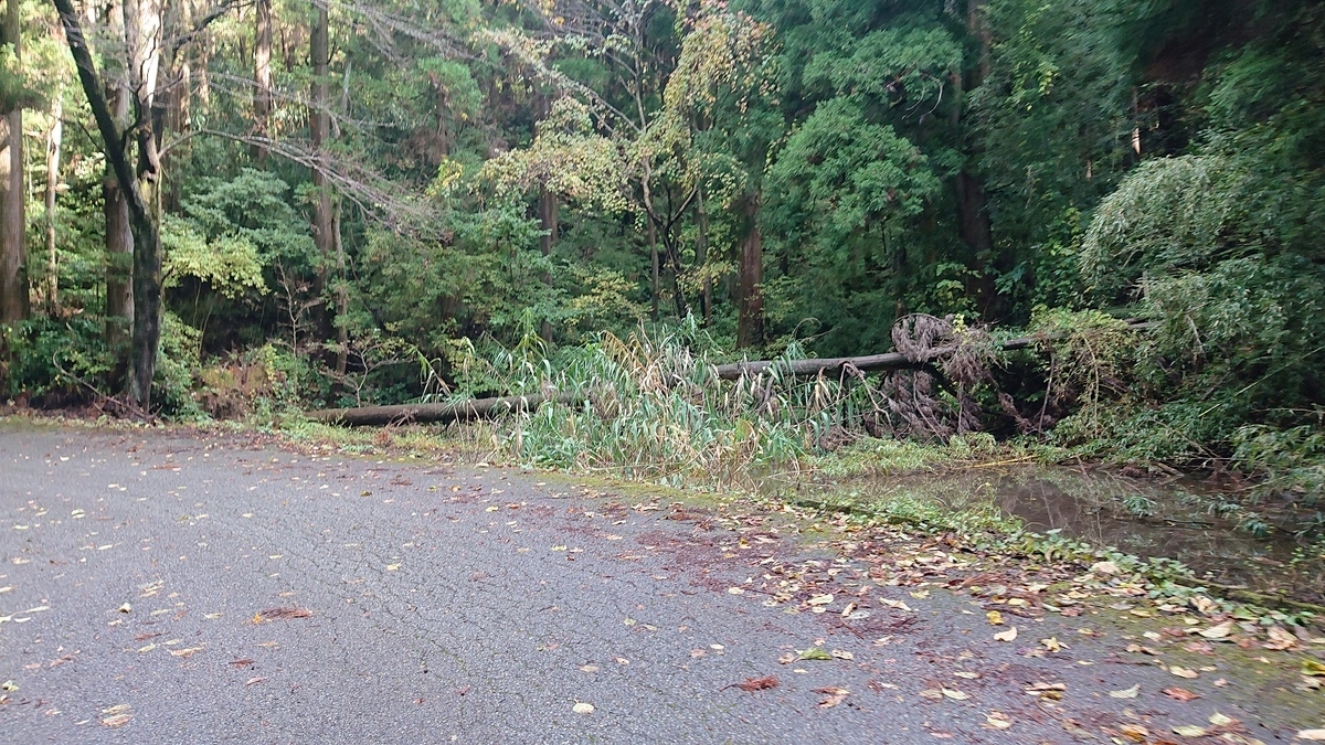 f:id:m6895dm829b:20191112221847j:plain f:id:m6895dm829b:20191112221847j:plain