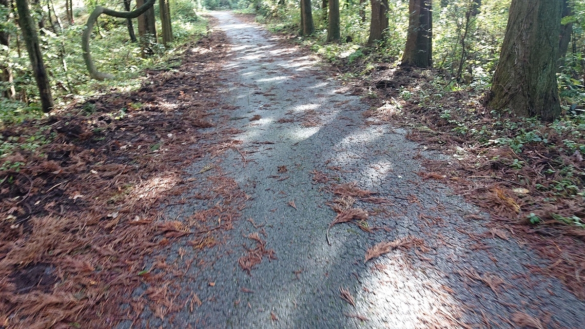 f:id:m6895dm829b:20191112221921j:plain f:id:m6895dm829b:20191112221921j:plain