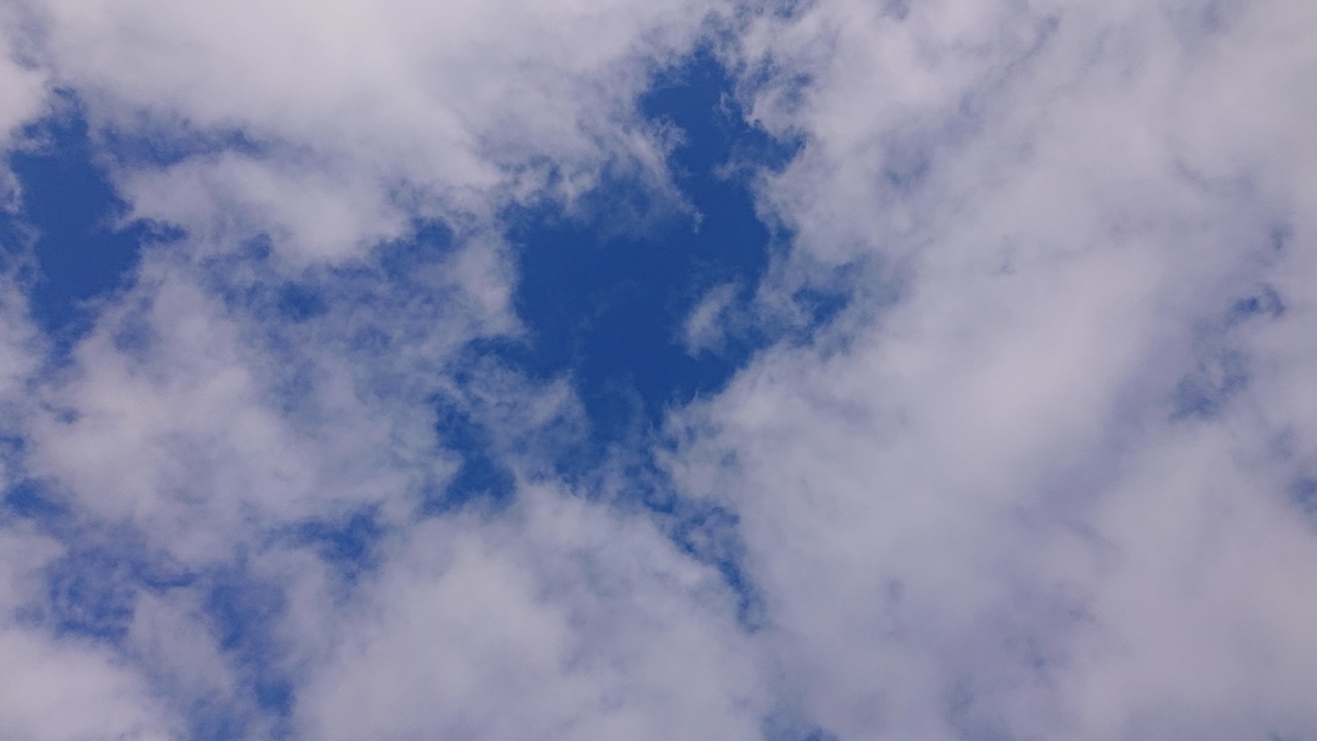 f:id:m6895dm829b:20191126155442j:plain