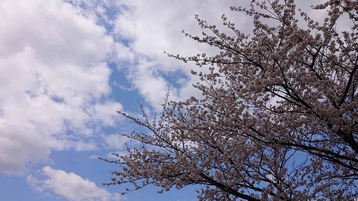 f:id:m6895dm829b:20200406213448j:plain