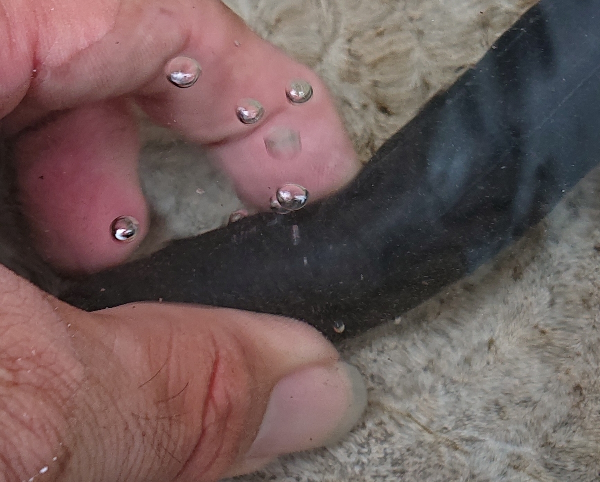 f:id:m6895dm829b:20200721193107j:plain f:id:m6895dm829b:20200721193107j:plain