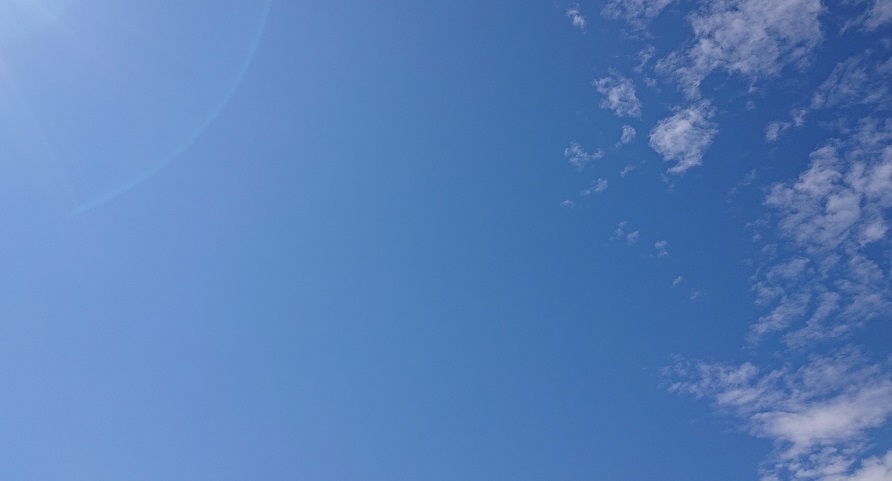 f:id:m6895dm829b:20200906211041j:plain