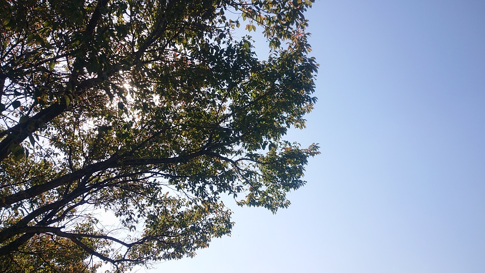 f:id:m6895dm829b:20201020193320j:plain