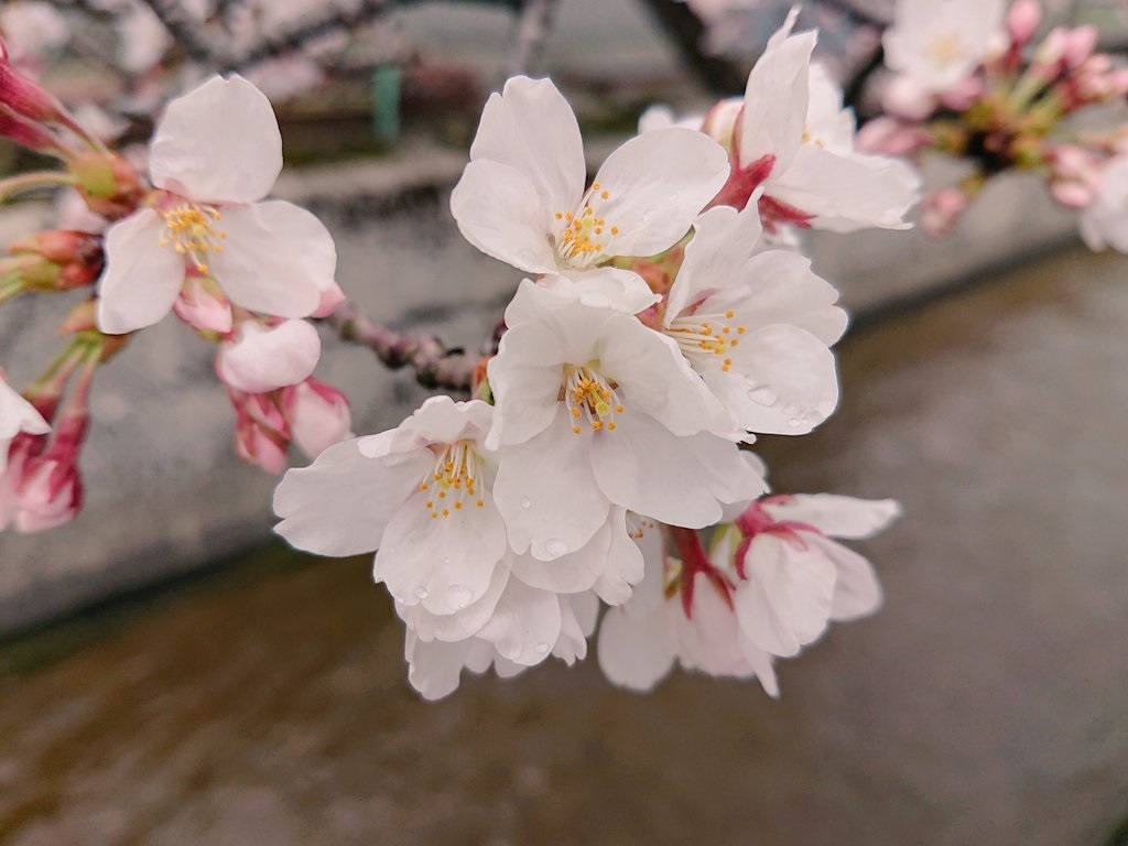 f:id:m6895dm829b:20210327144952j:plain