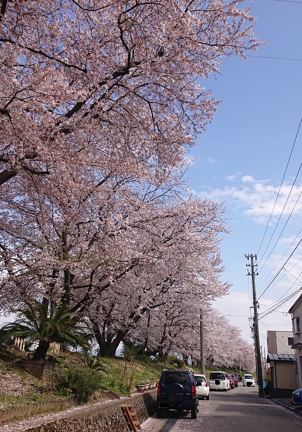 f:id:m6895dm829b:20210403211945j:plain